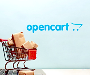 OpenCart developer