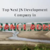 Top Next JS Development Company in