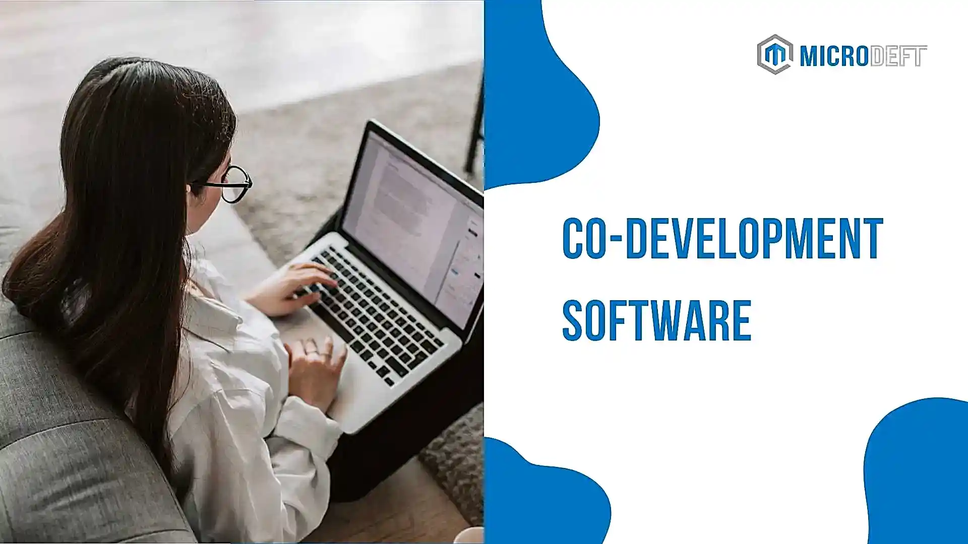 Co-development Software